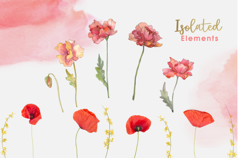 red-watercolor-poppies-png-set
