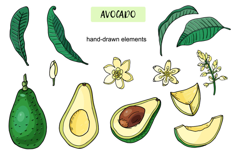 avocado