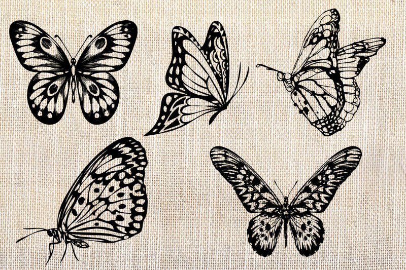 hand-drawn-illustrations-of-butterflies