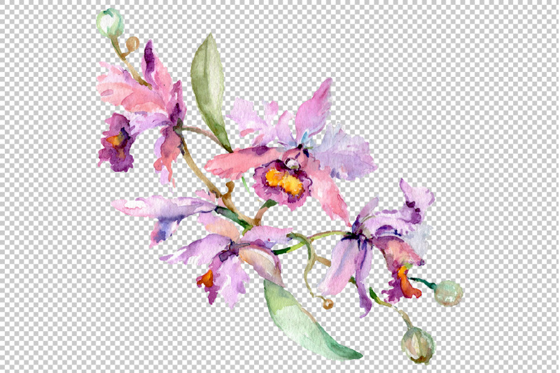 bouquet-with-orchids-angel-gift-watercolor-png