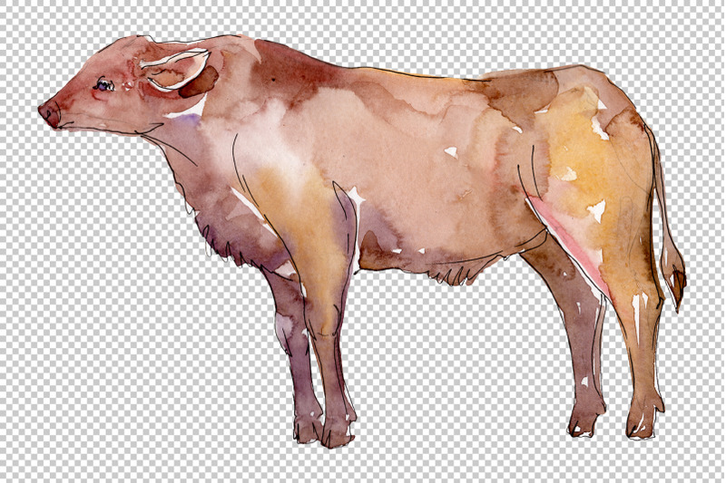 farm-animals-bull-watercolor-png