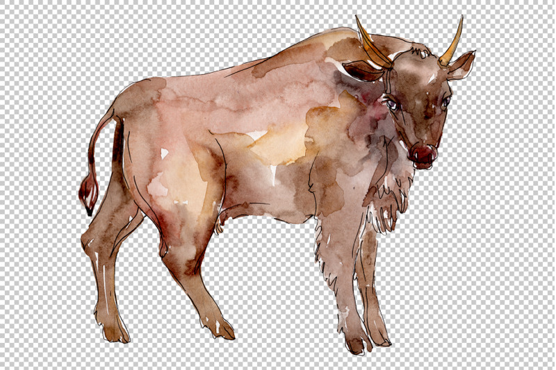 farm-animals-bull-watercolor-png