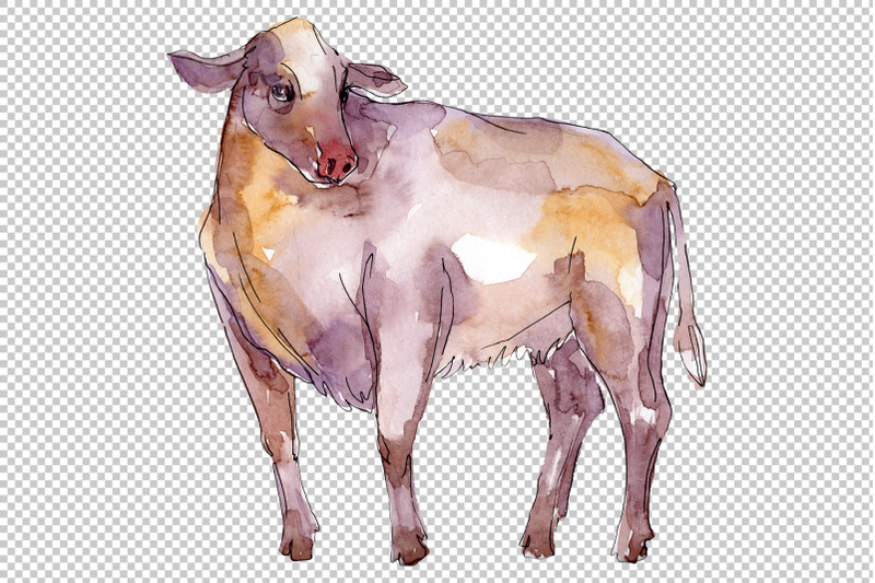 farm-animals-bull-watercolor-png