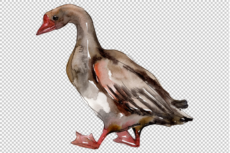 farm-animals-geese-watercolor-png