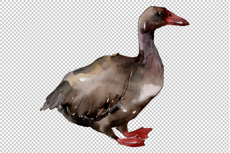 farm-animals-geese-watercolor-png