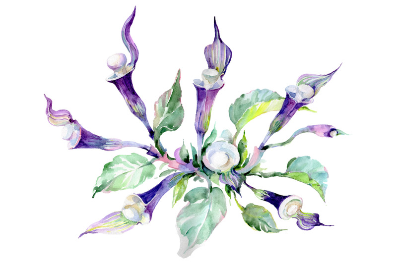 bouquet-melody-of-the-piano-watercolor-png