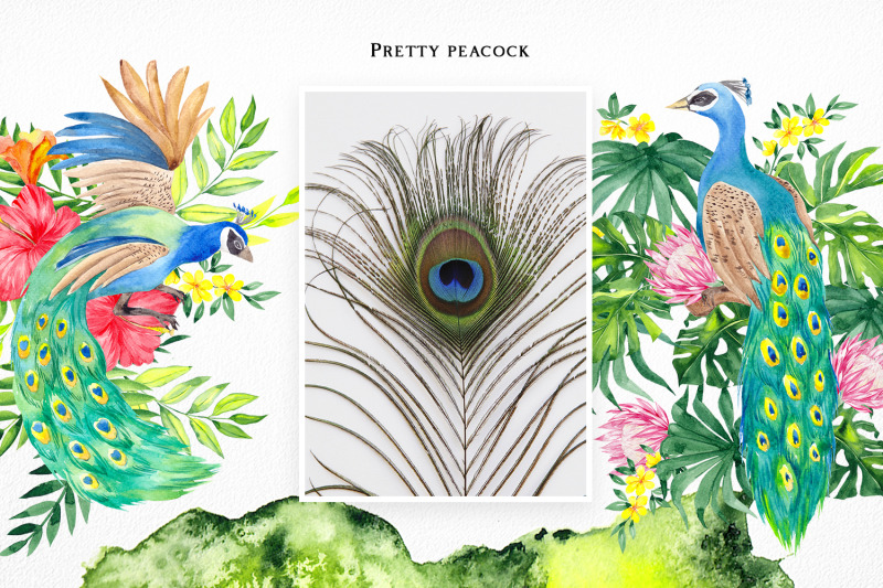 pretty-garden-watercolor-collection