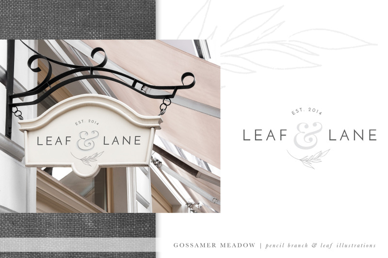 pencil-branch-amp-leaf-illustrations-branding-kit