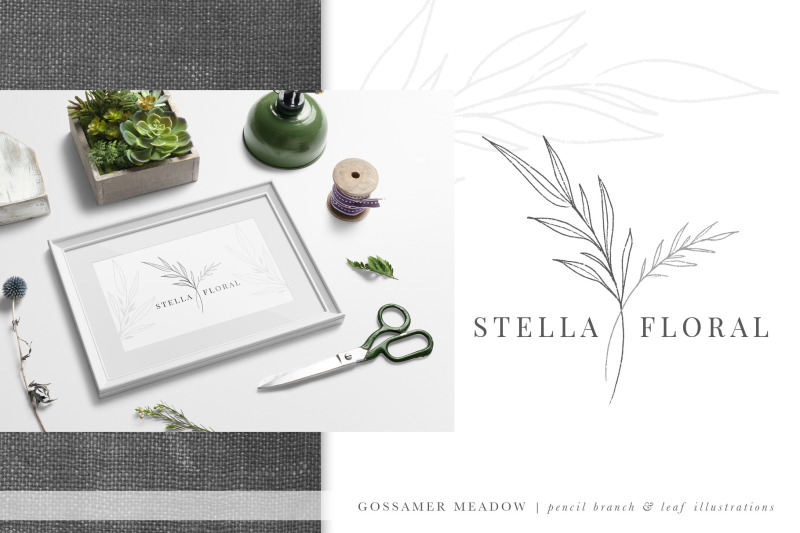 pencil-branch-amp-leaf-illustrations-branding-kit