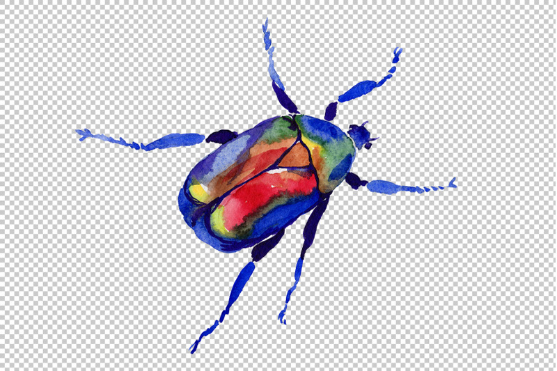 may-beetle-aurata-watercolor-png