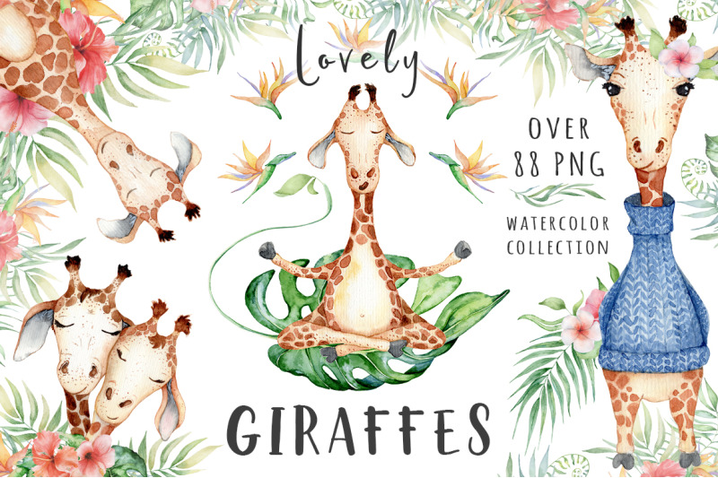 lovely-giraffes-watercolor-illustrations