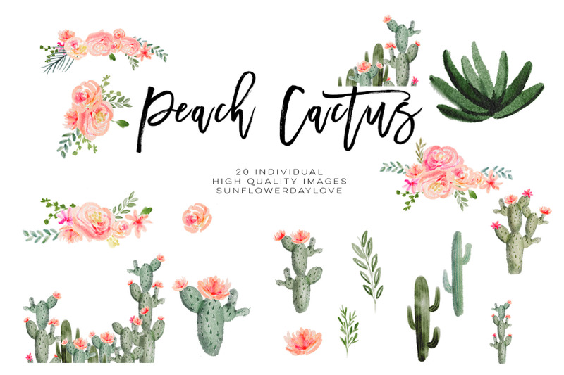 succulent-peach-watercolor-cliparts-cactus-flower-clipart