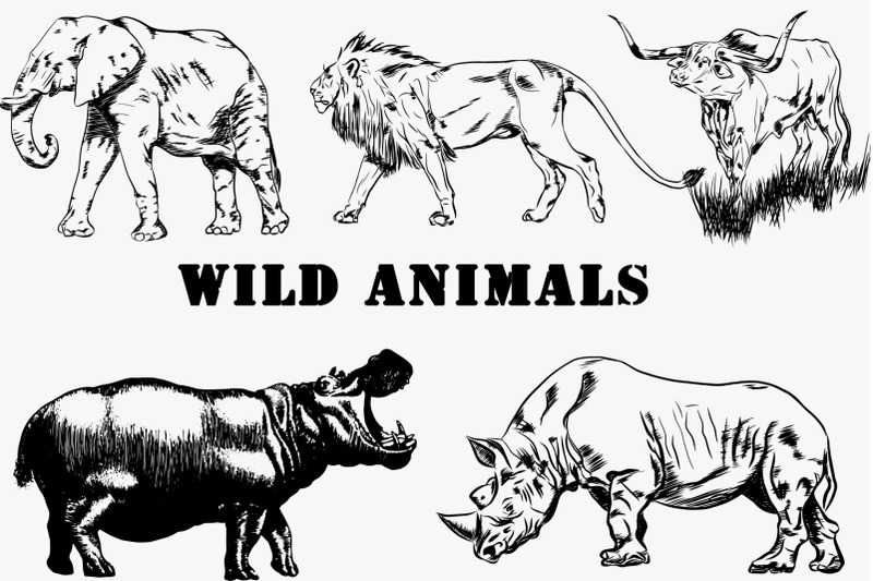 hand-drawn-wild-animals-vector-illustrations