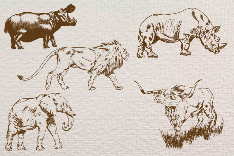 hand-drawn-wild-animals-vector-illustrations