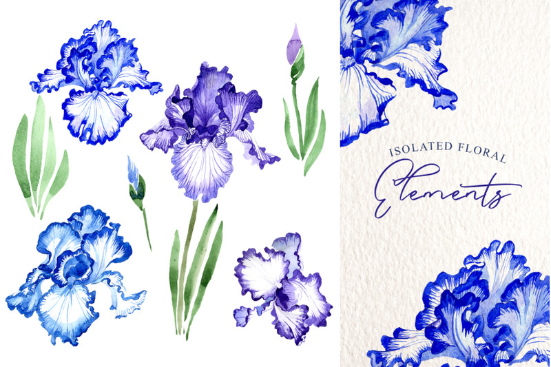 blue-irises-quot-inspiration-quot-watercolor-png
