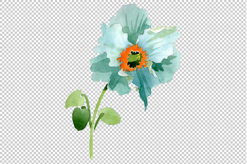 turquoise-poppy-watercolor-png