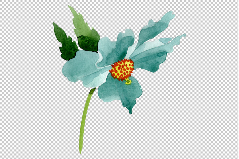 turquoise-poppy-watercolor-png