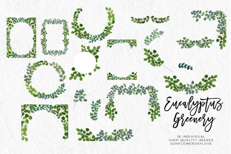 greenery-leaf-watercolor-clipart-eucalyptus-clipart