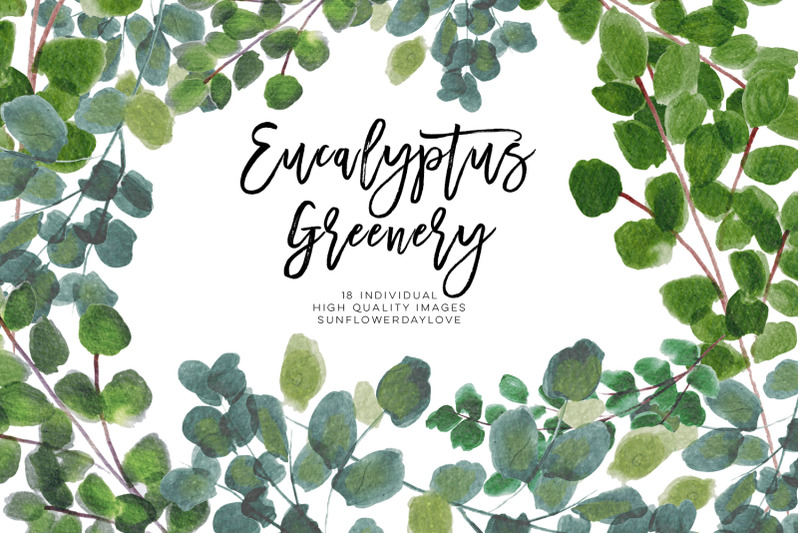 greenery-leaf-watercolor-clipart-eucalyptus-clipart