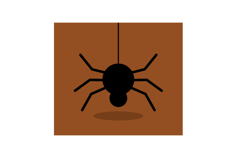 spider-icon