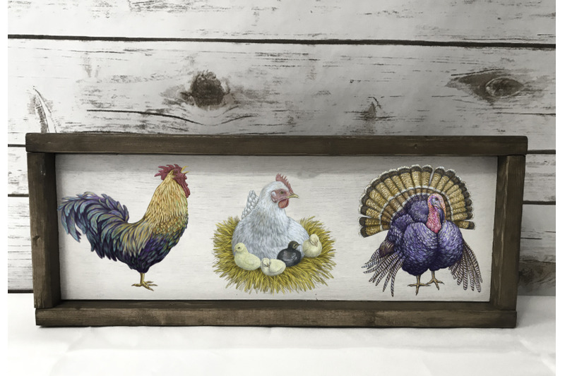 poultry-farm-clip-art