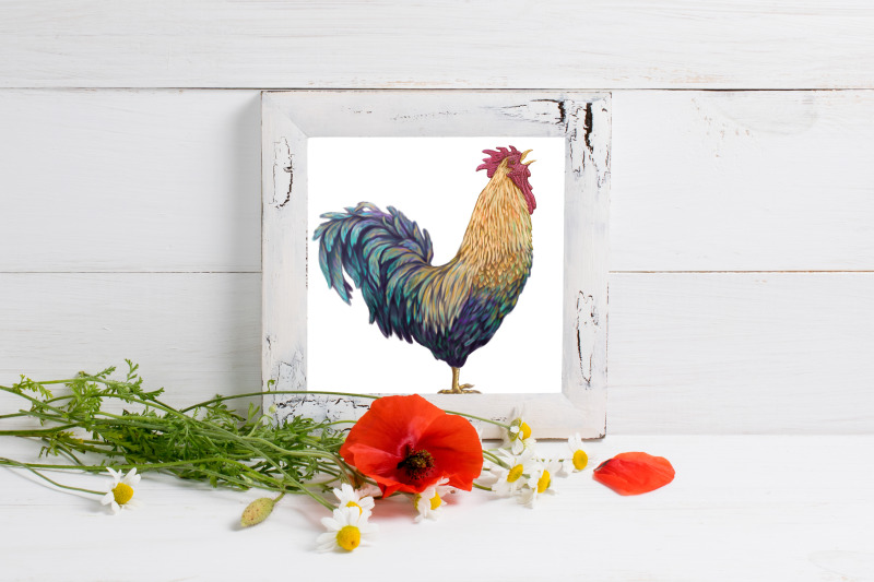 poultry-farm-clip-art