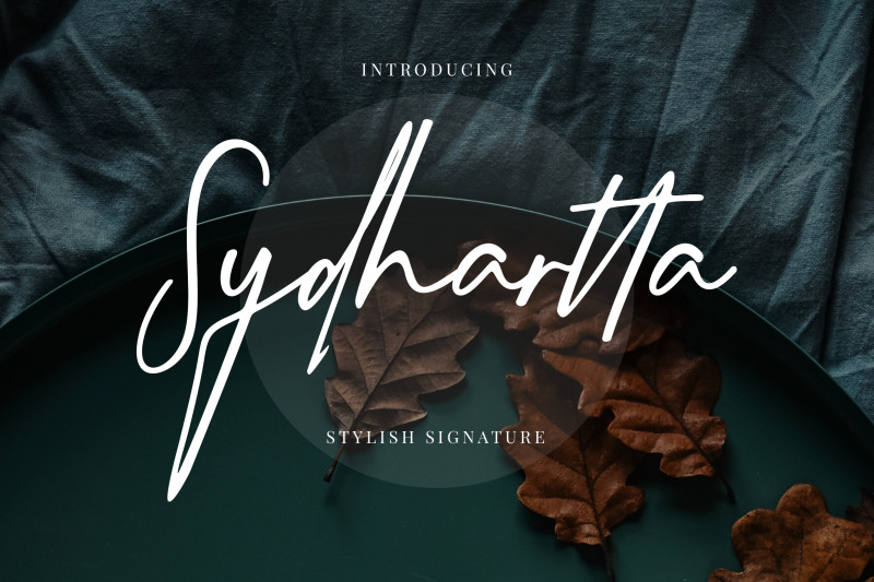 sydhartta-stylish-signature