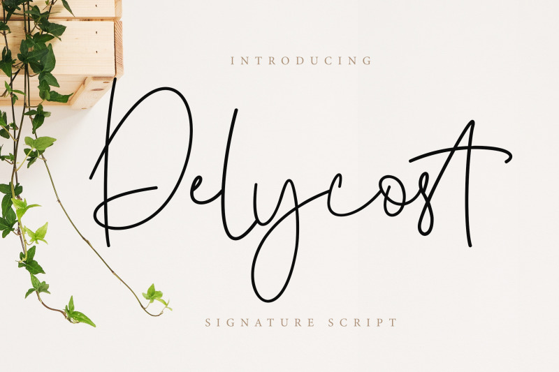 delycost-signature-style
