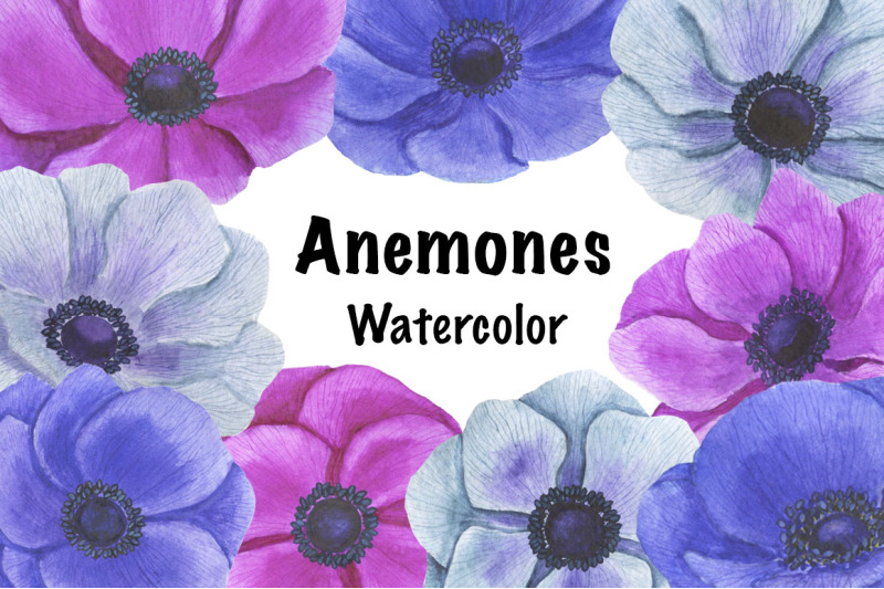 anemones-watercolor-anemones-pattern-anemones-frames