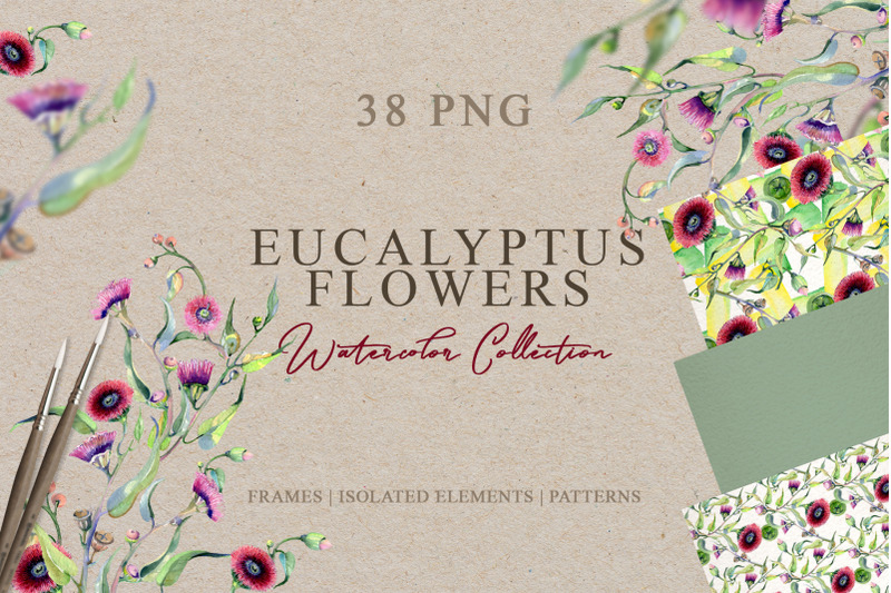 eucalyptus-flowers-watercolor-png