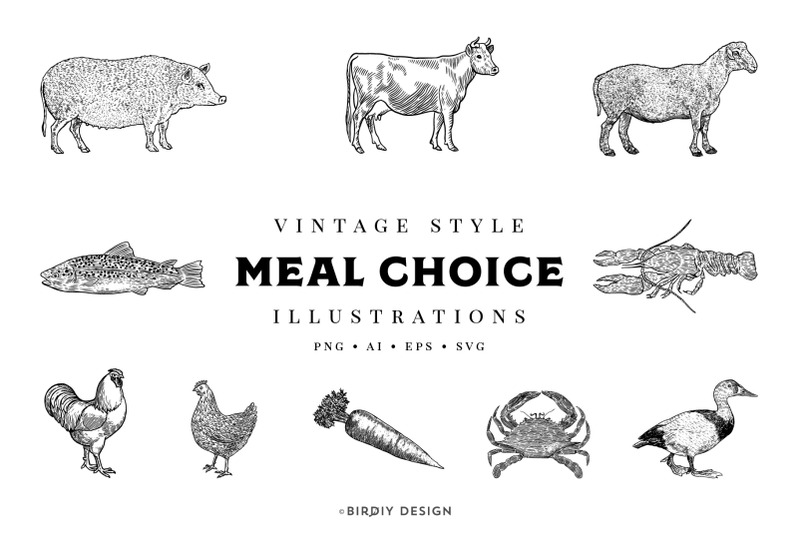 vintage-meal-choice-illustrations