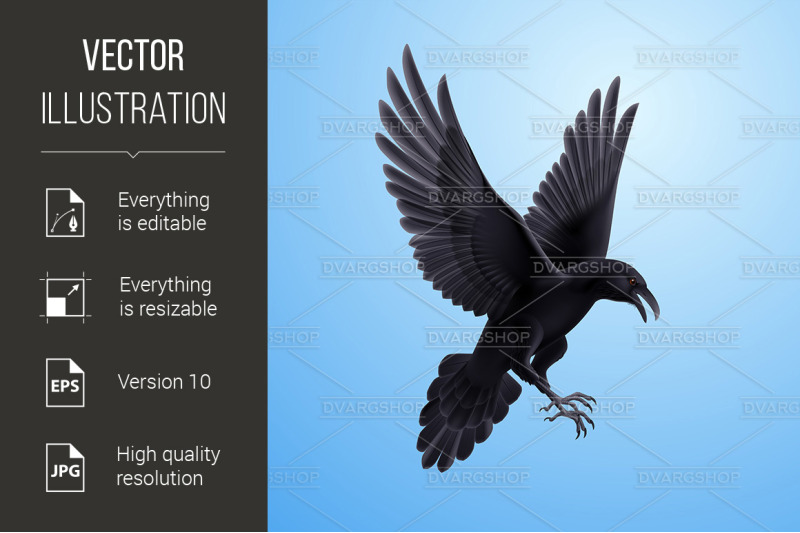 black-raven-on-blue-background