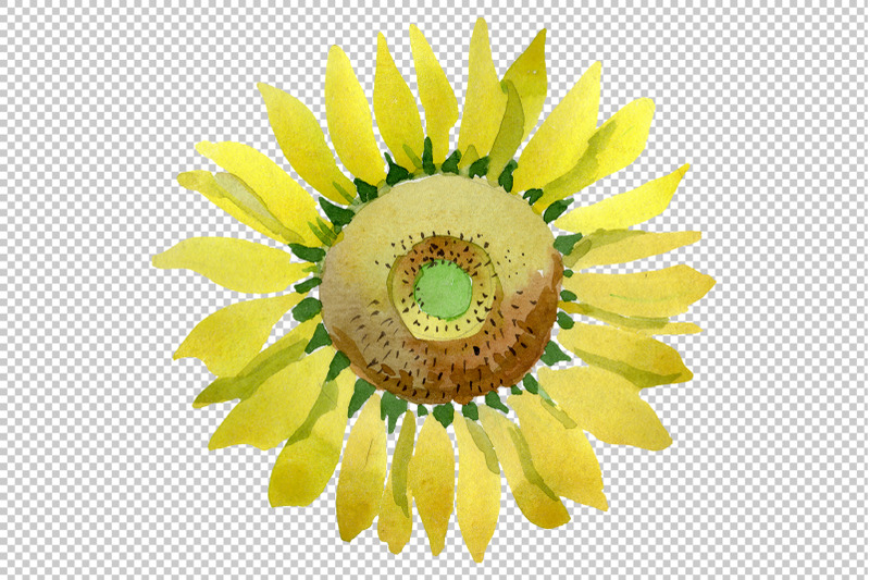 bright-yellow-sunflower-watercolor-png