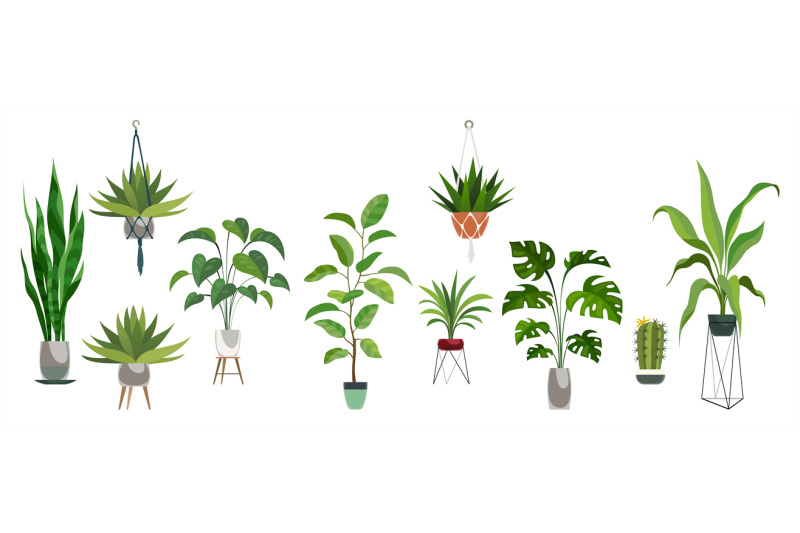 pot-plant-set-plants-plastic-decorative-container-and-hanging-styling