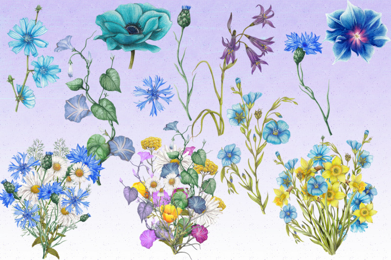 watercolor-garden-wildflowers
