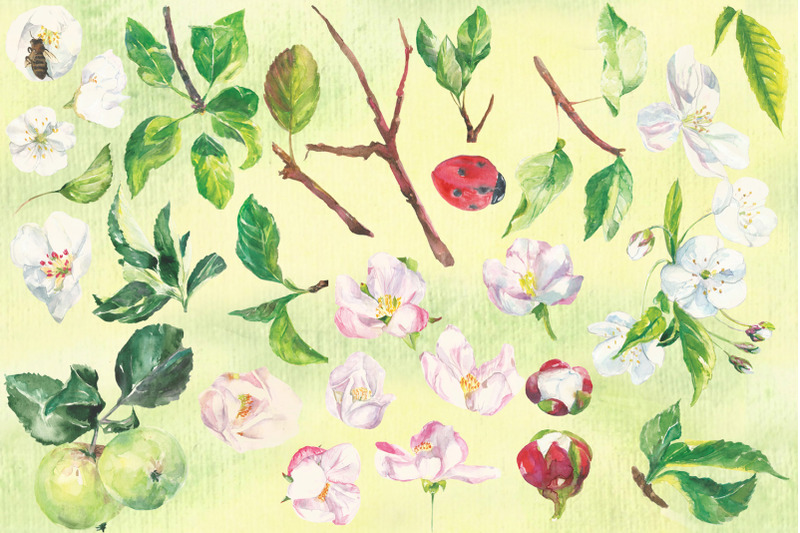 watercolor-apple-tree-branches-clip-art
