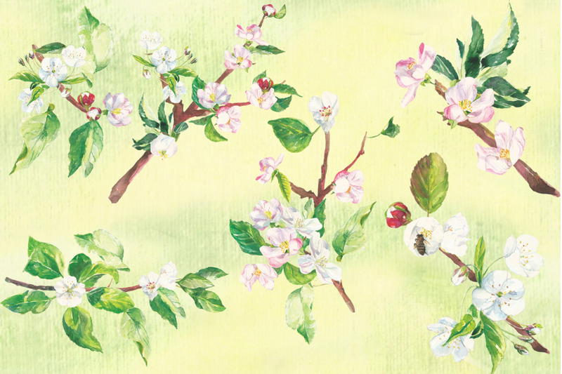watercolor-apple-tree-branches-clip-art