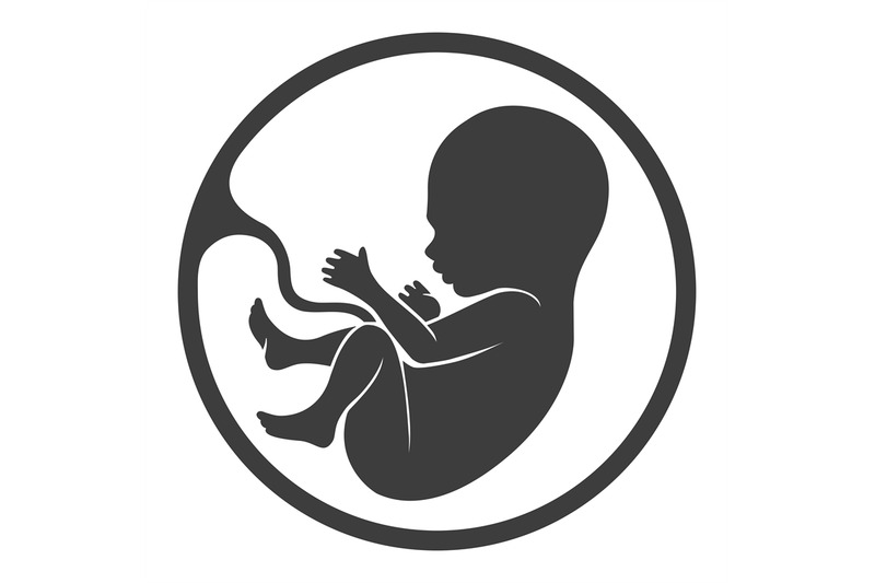 prenatal-human-child-with-placenta-silhouette