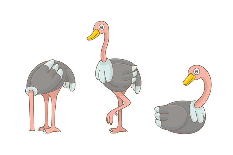 set-of-ostrichs-pattern