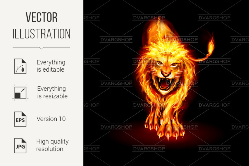 fire-lion