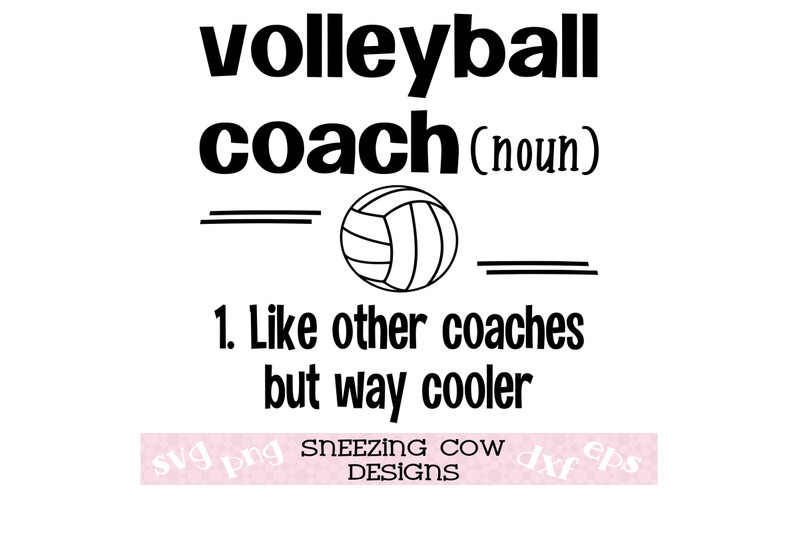 volleyball-coach-like-other-coaches-but-way-cooler