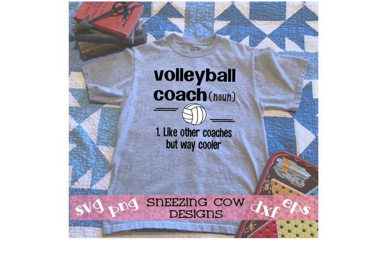 volleyball-coach-like-other-coaches-but-way-cooler