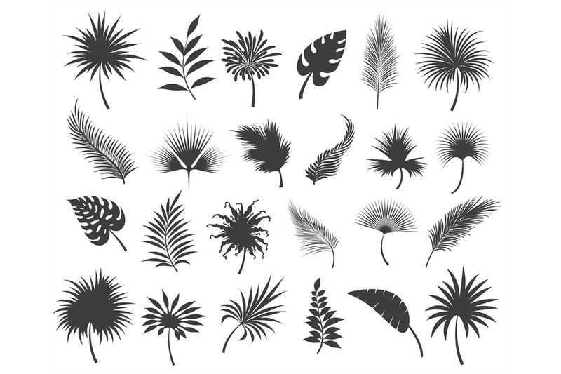 palms-leaves-silhouettes