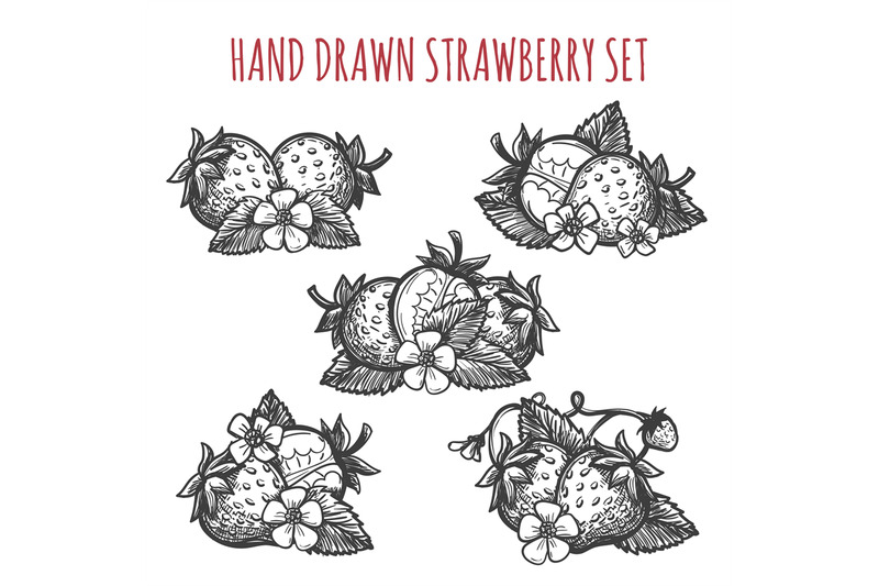 strawberry-sketch-icons-set