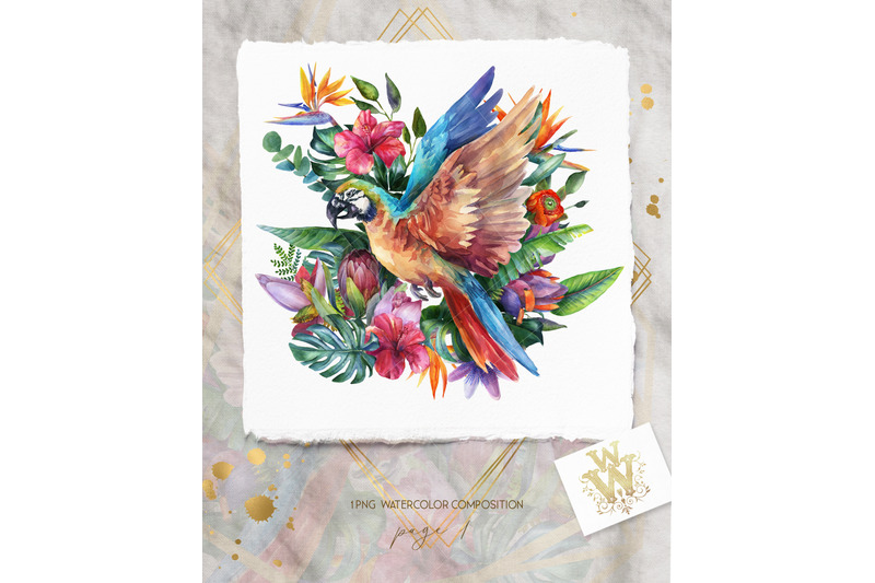 watercolor-parrot-clipart-tropical-sublimation-design-summer-bird