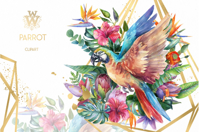 watercolor-parrot-clipart-tropical-sublimation-design-summer-bird