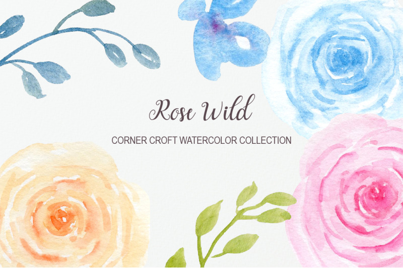 watercolor-rose-wild-illustration