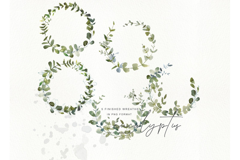 watercolor-eucalyptus-clipart-collection