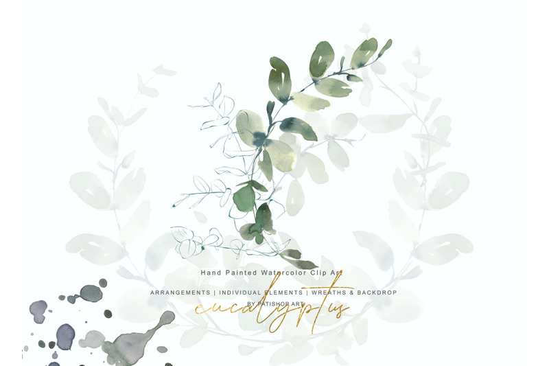 watercolor-eucalyptus-clipart-collection