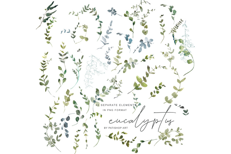 watercolor-eucalyptus-clipart-collection